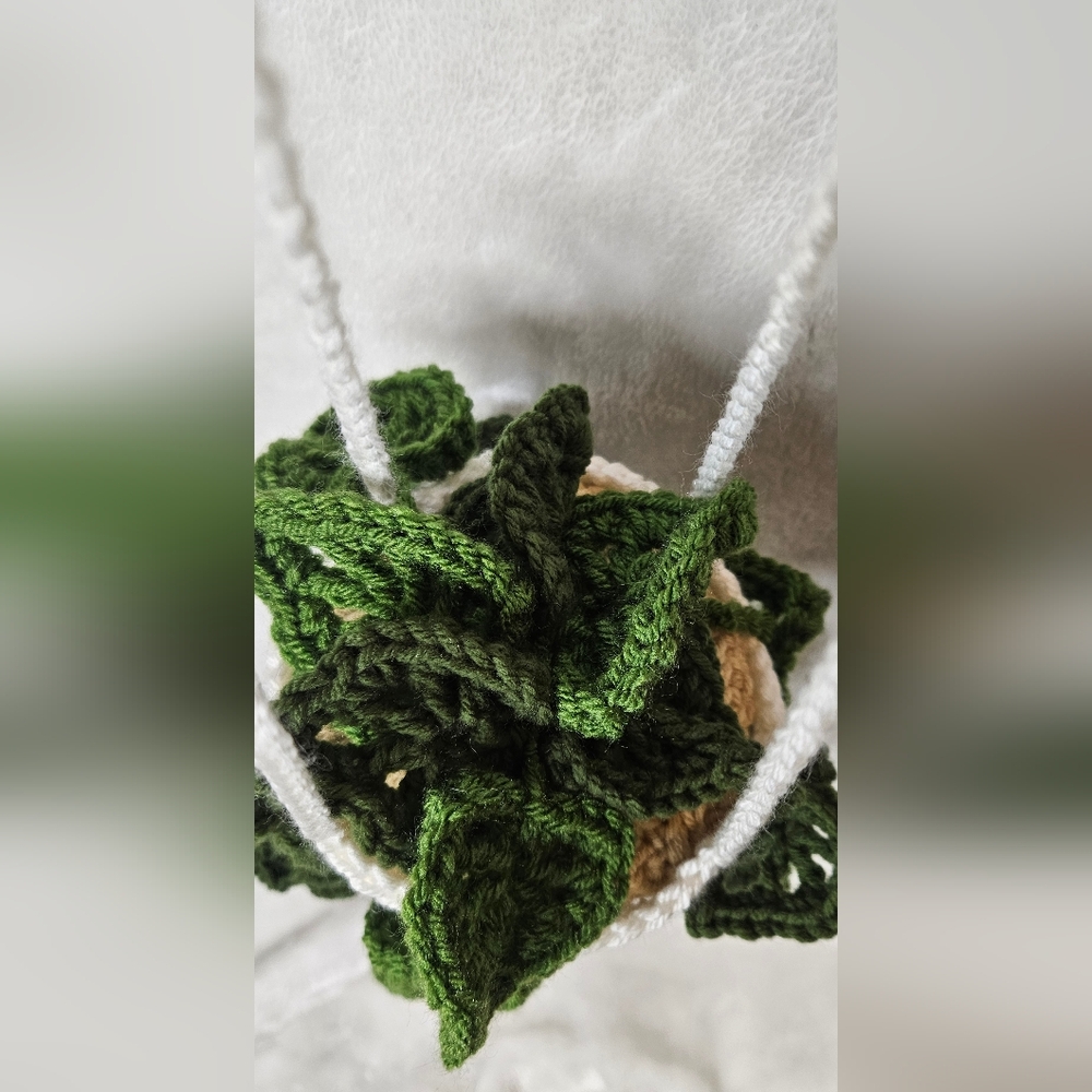 Crocheted Hanging String Of Hearts Leaf Planter - Picture 4 of 4